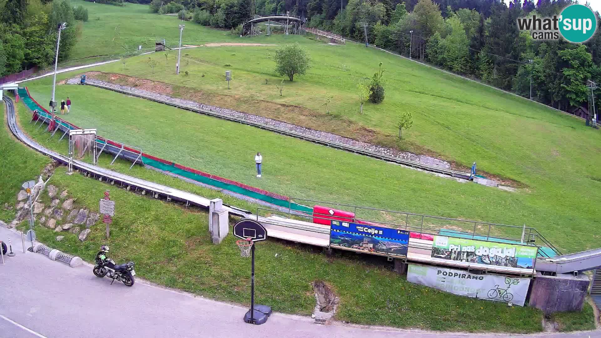 Celjska Koča – vista dall’hotel