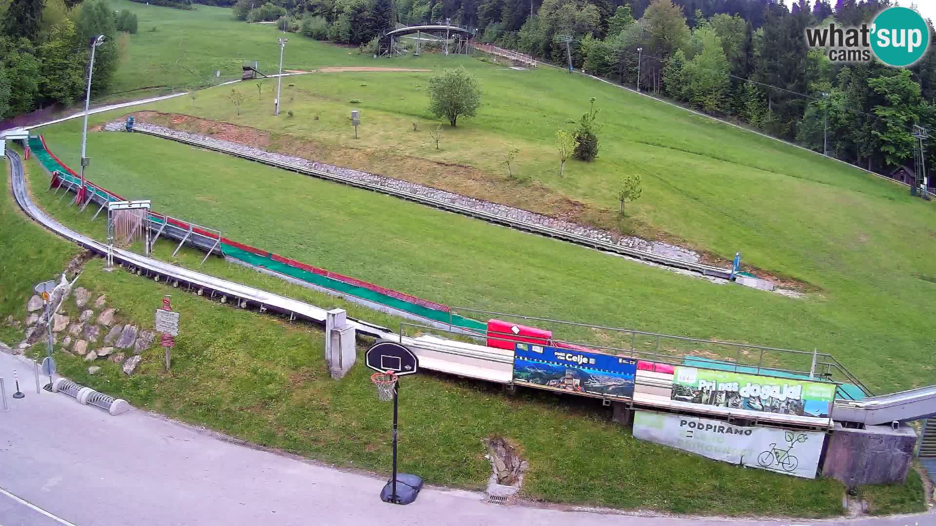 Celjska Koča – vista dall’hotel