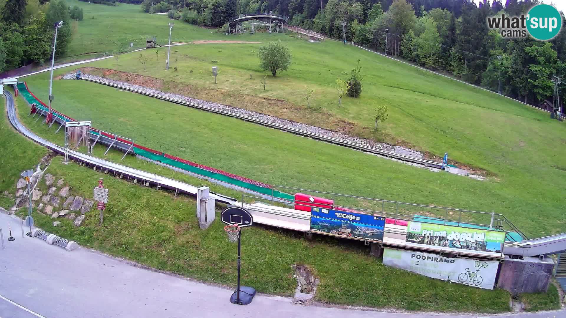 Celjska Koča – Blick vom Hotel