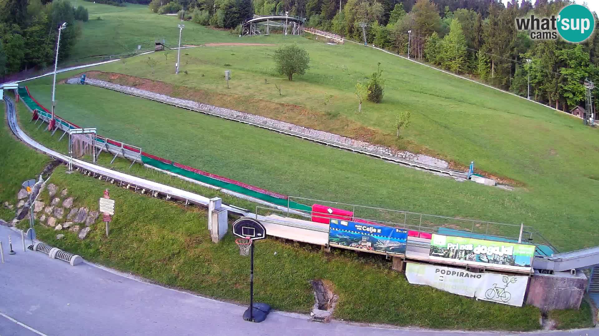 Celjska Koča – vista desde el hotel