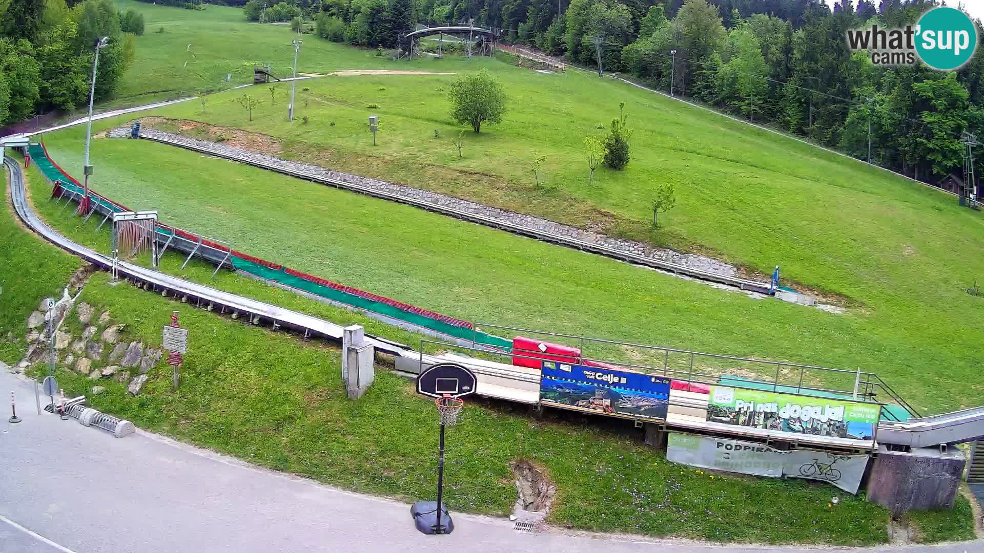 Celjska Koča – view from hotel – Celje – Slovenia