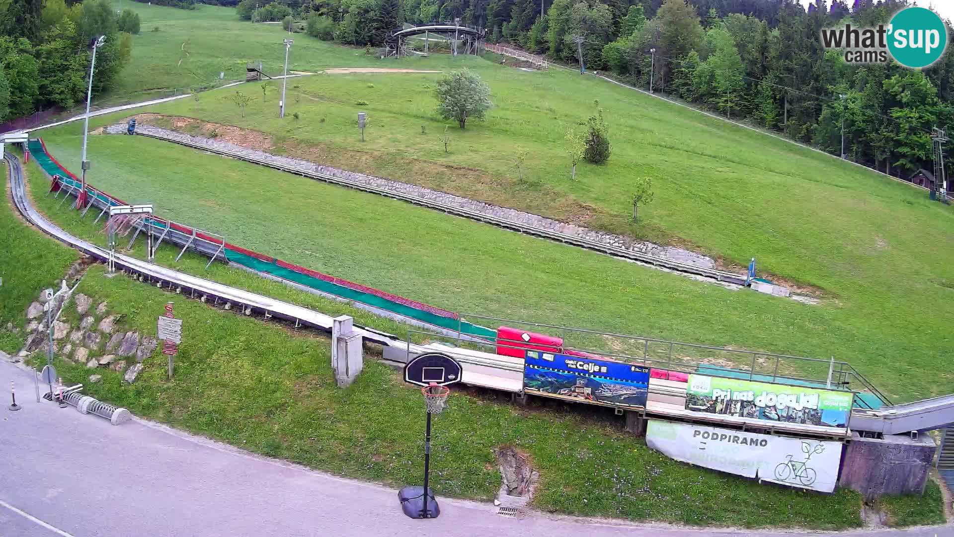 Celjska Koča – view from hotel – Celje – Slovenia