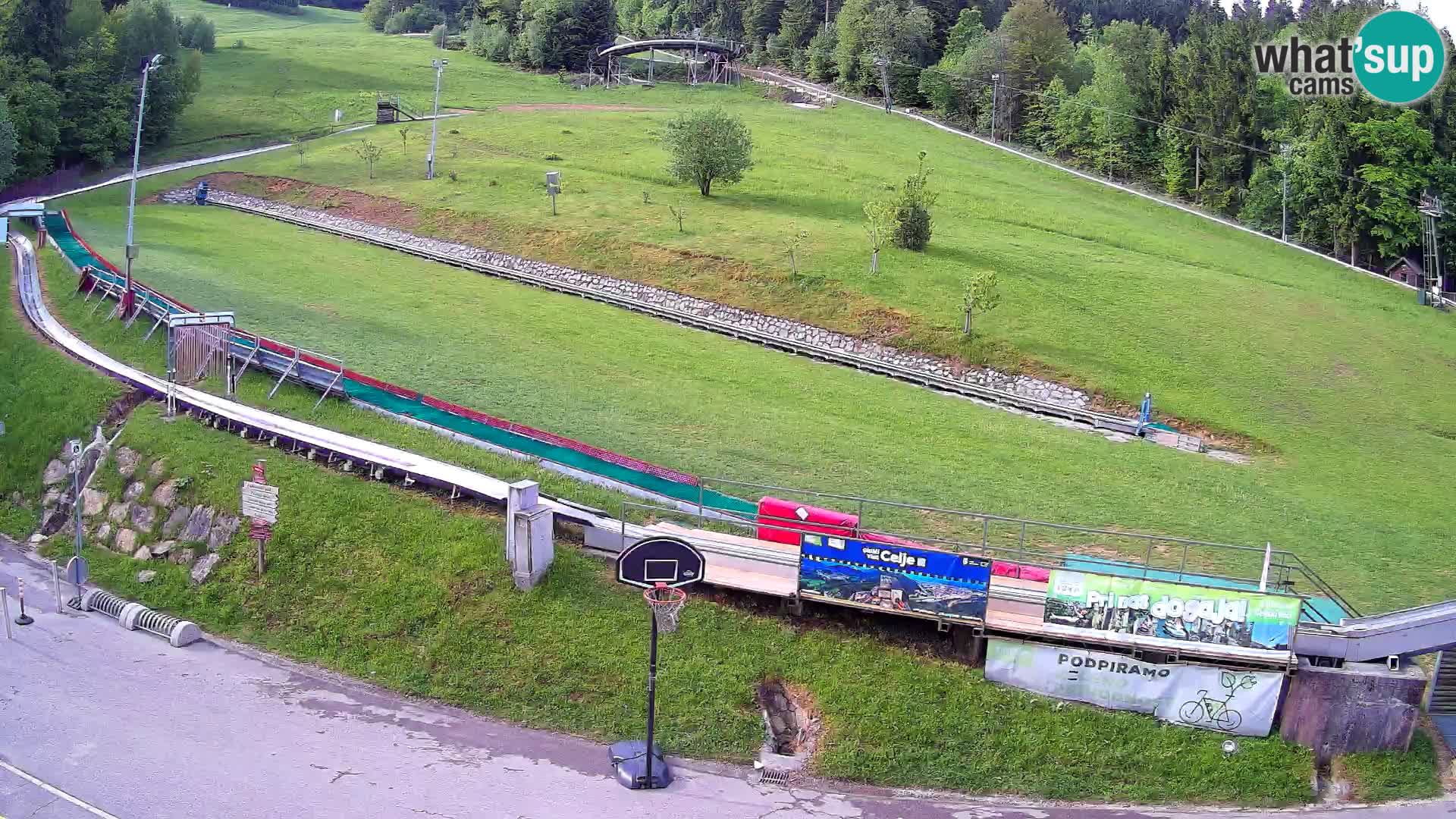 Celjska Koča – vista dall’hotel