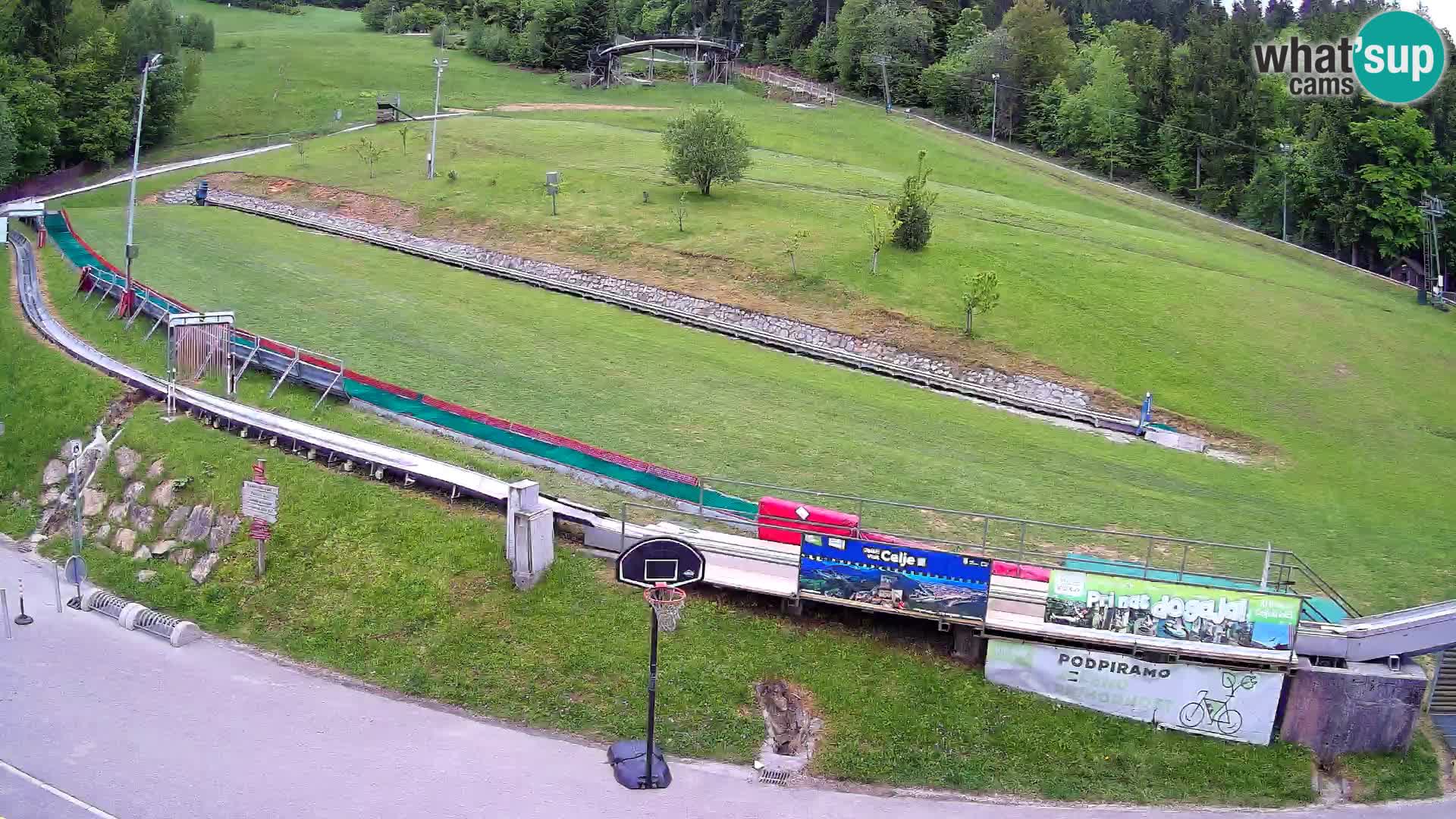 Celjska Koča – vista dall’hotel