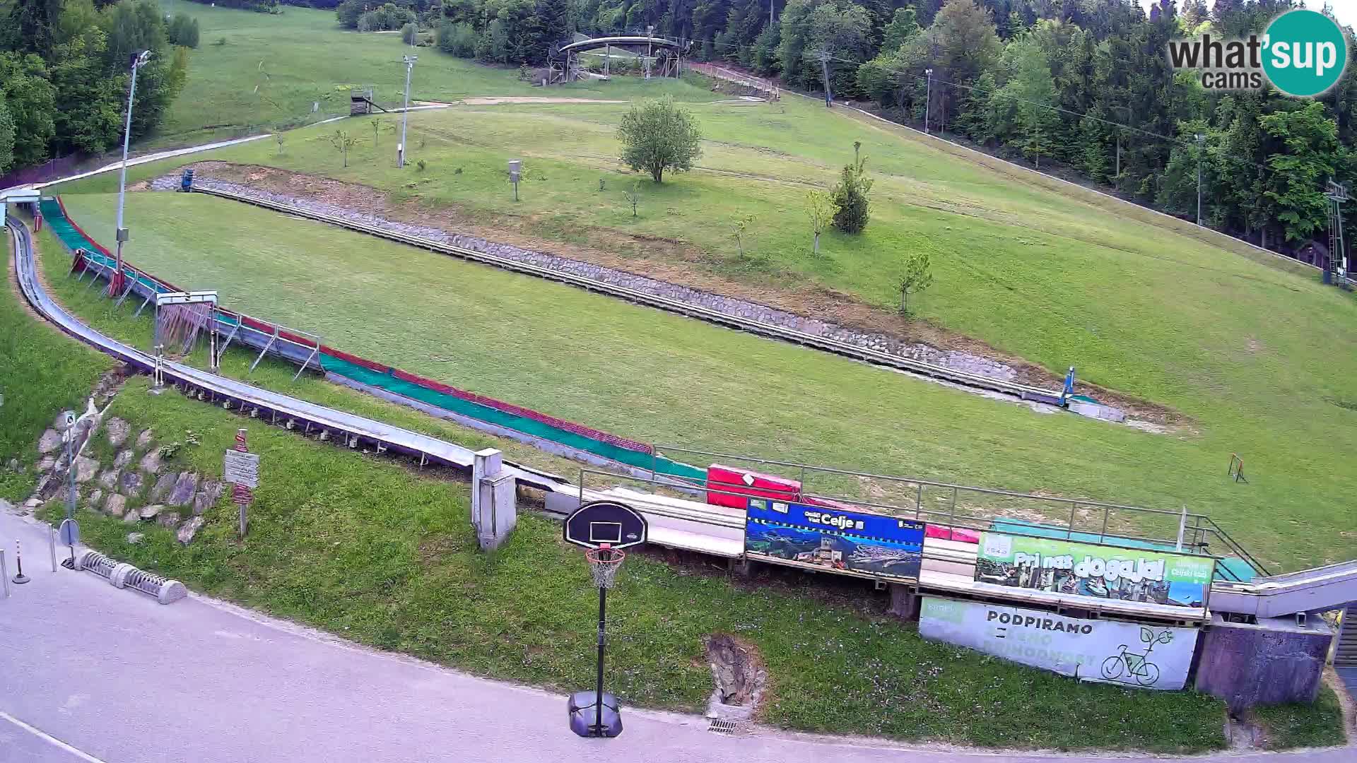 Celjska Koča – vista desde el hotel