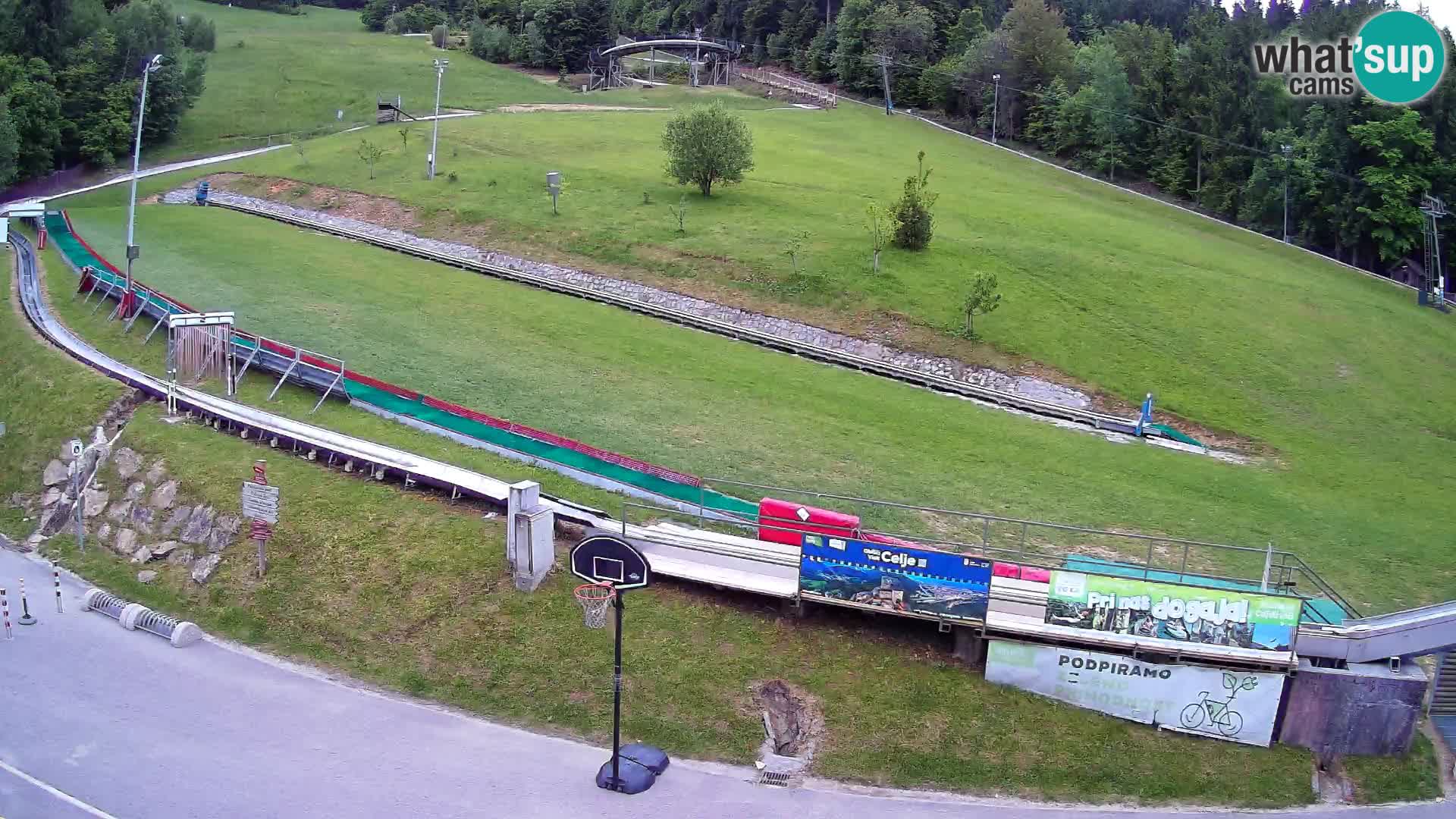 Celjska Koča – vista desde el hotel