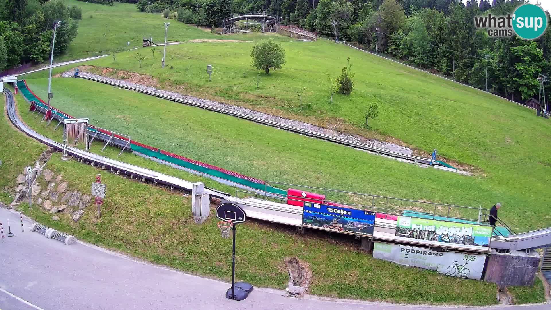Celjska Koča – vista dall’hotel