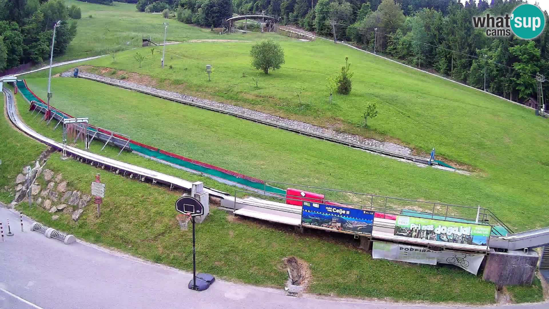Celjska Koča – Blick vom Hotel