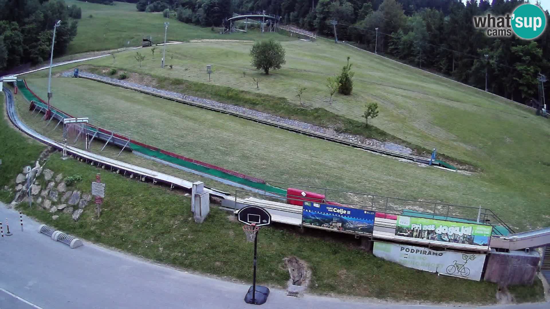 Celjska Koča – view from hotel – Celje – Slovenia