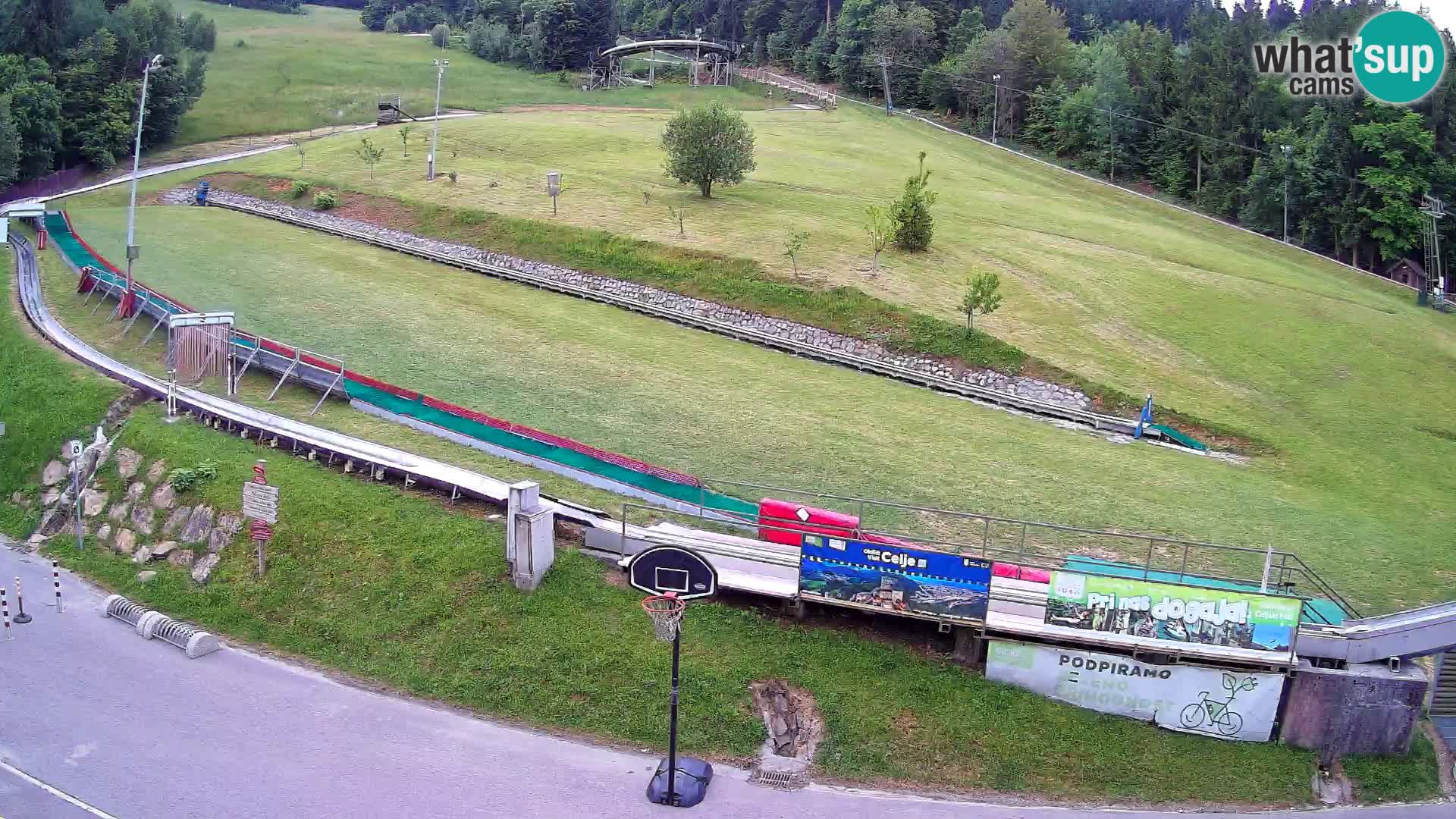 Celjska Koča – vista desde el hotel