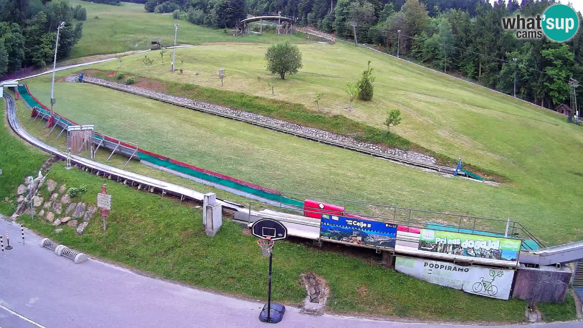 Celjska Koča – Blick vom Hotel