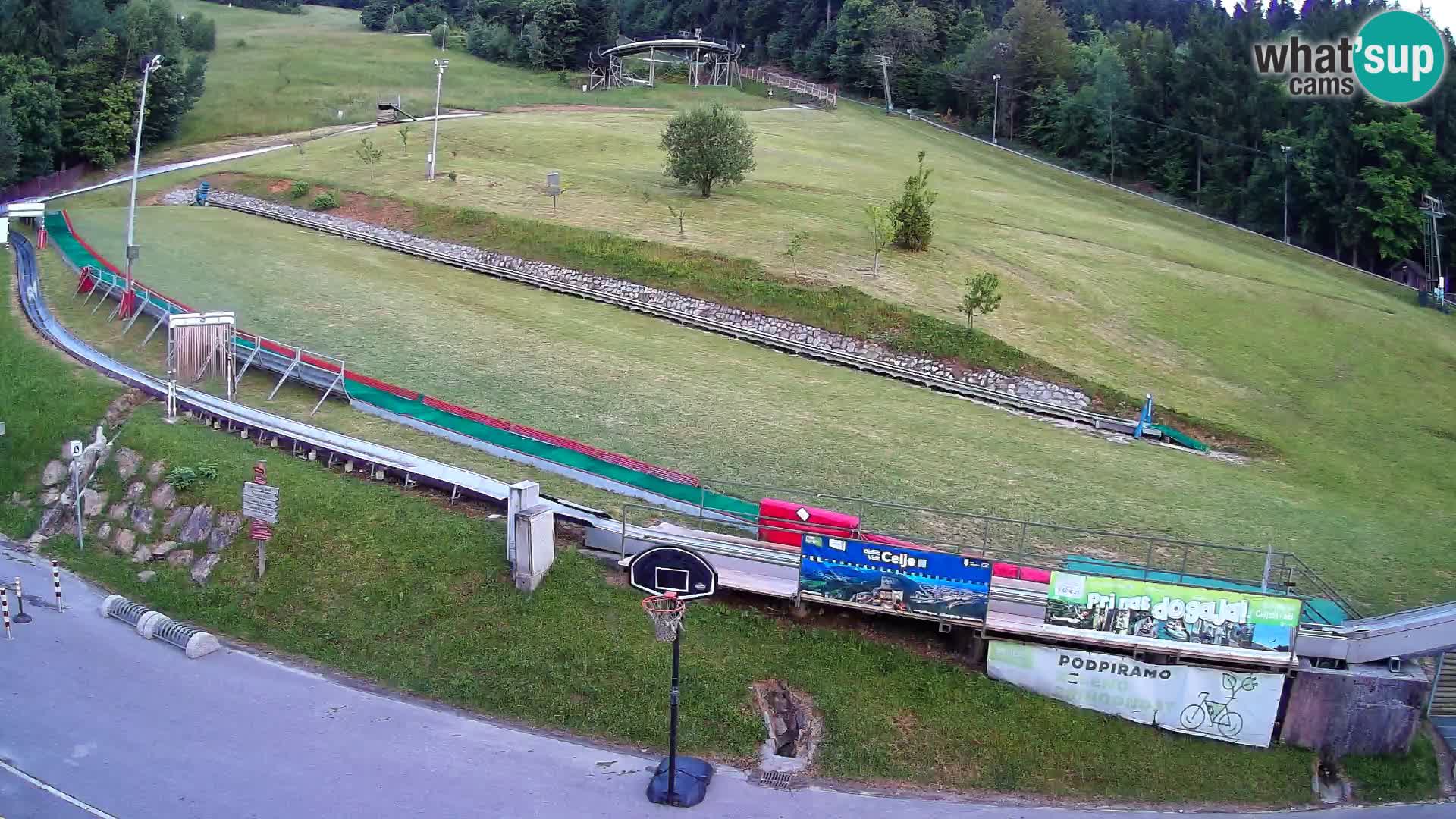 Celjska Koča – vista desde el hotel