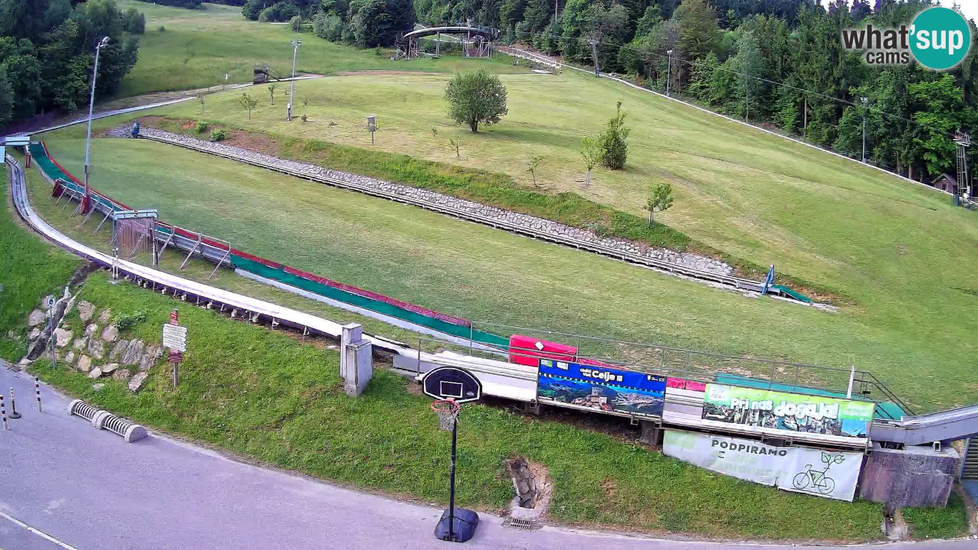 Celjska Koča – vista desde el hotel