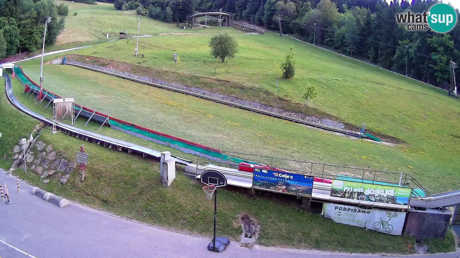 Celjska Koča – Blick vom Hotel
