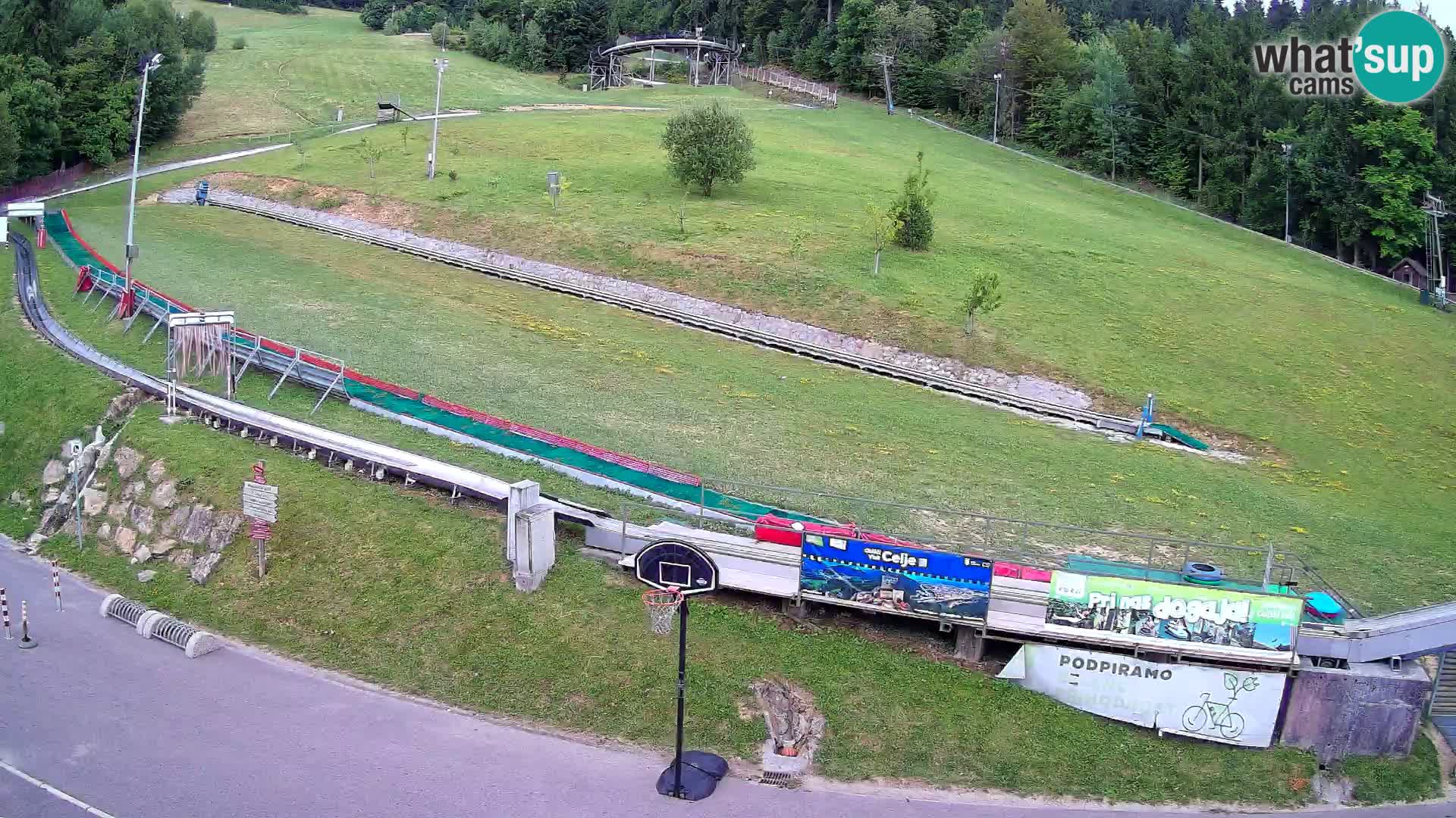 Celjska Koča – vista desde el hotel