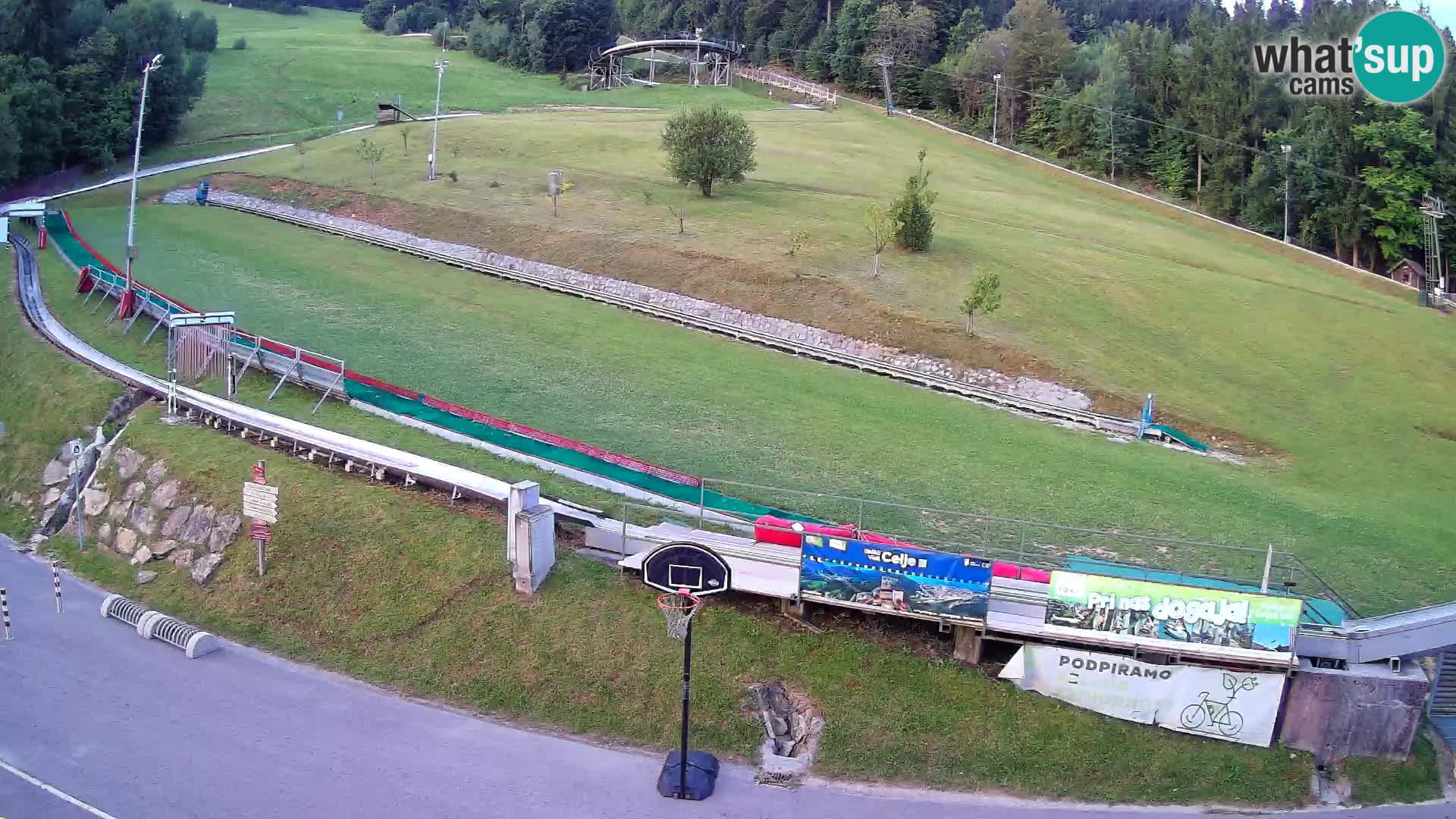 Celjska Koča – vista dall’hotel