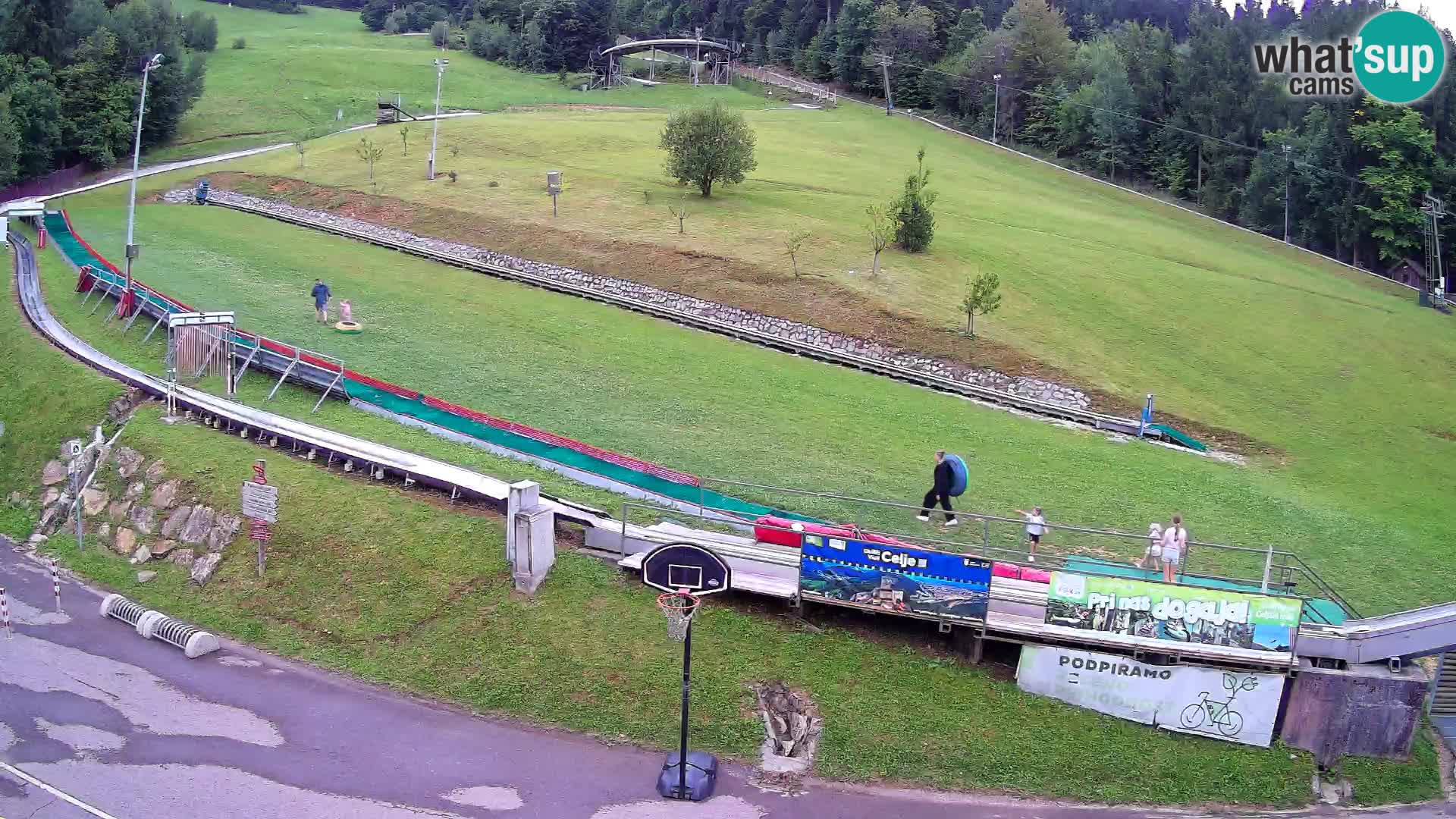 Celjska Koča – vista desde el hotel