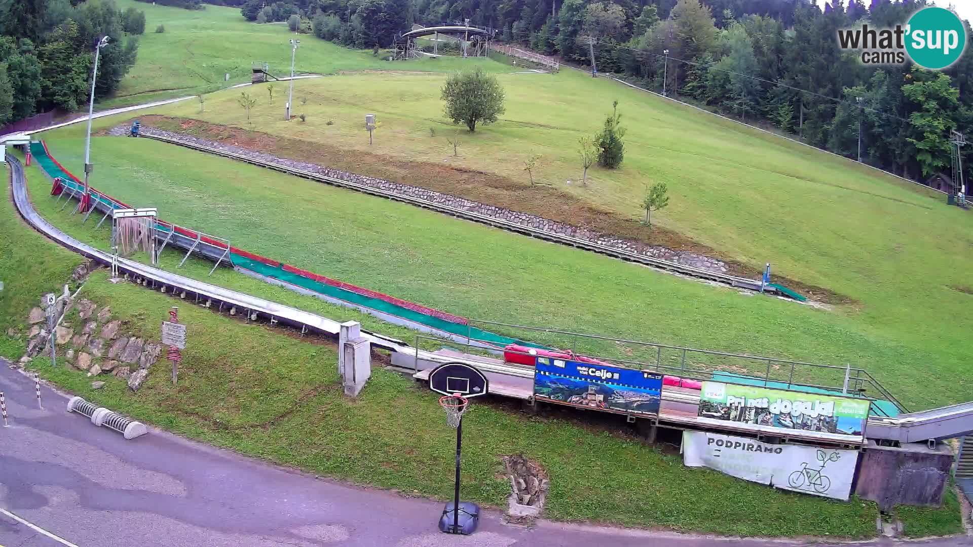 Celjska Koča – vista dall’hotel