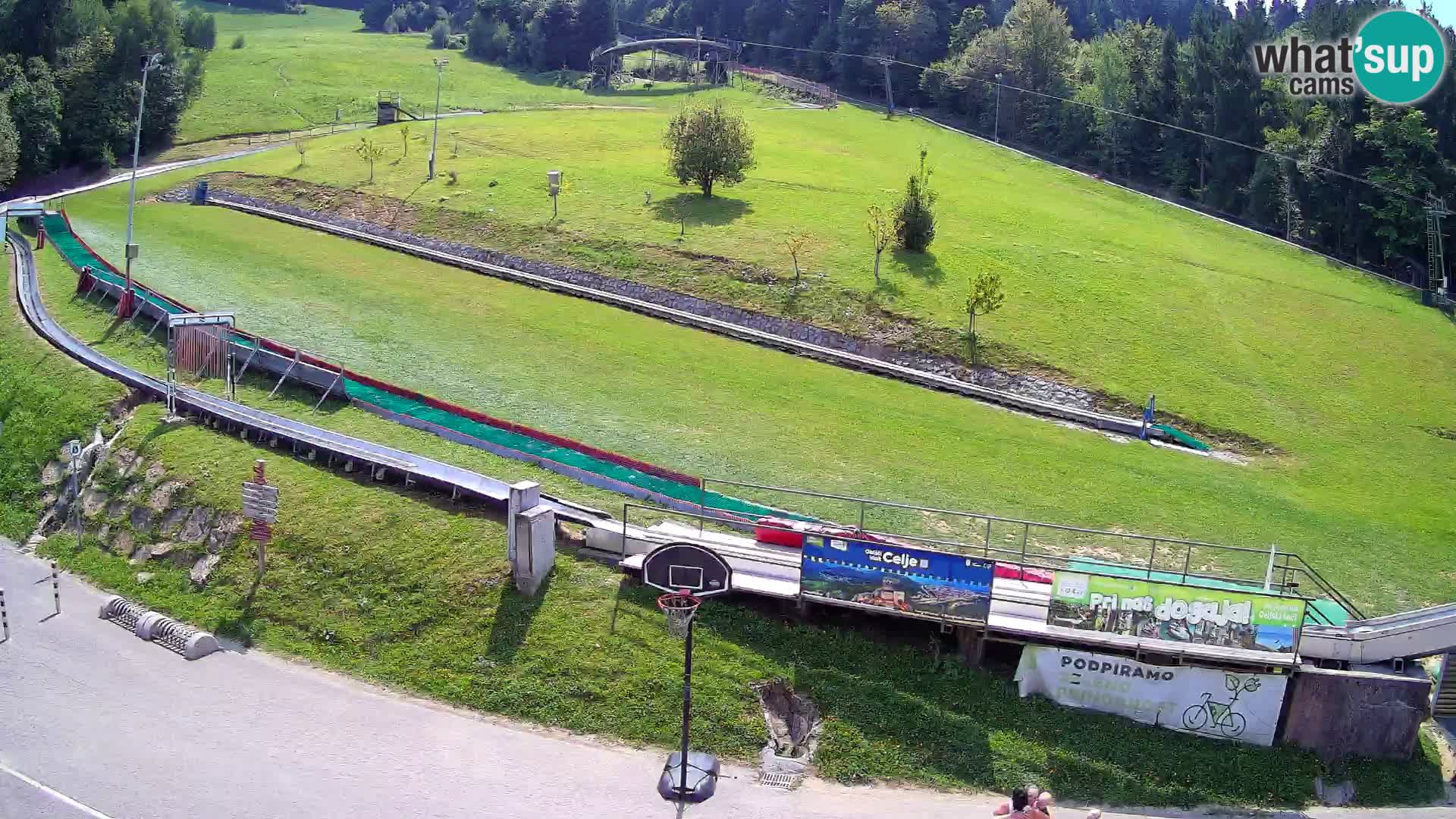 Celjska Koča – view from hotel – Celje – Slovenia