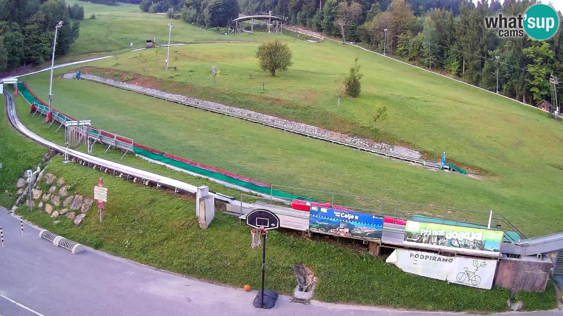 Celjska Koča – vista desde el hotel
