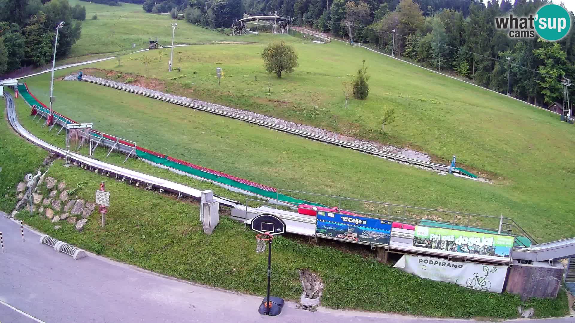 Celjska Koča – vista dall’hotel