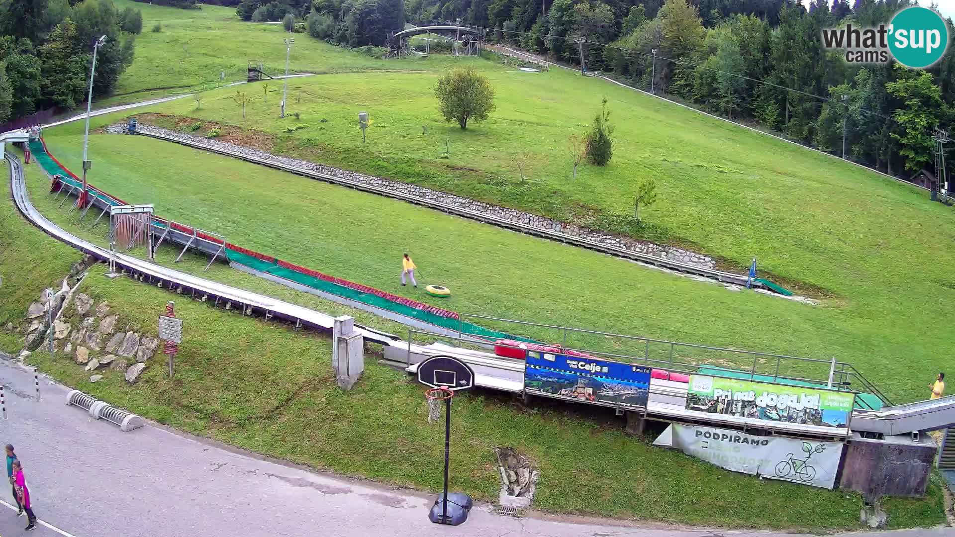 Celjska Koča – vista desde el hotel