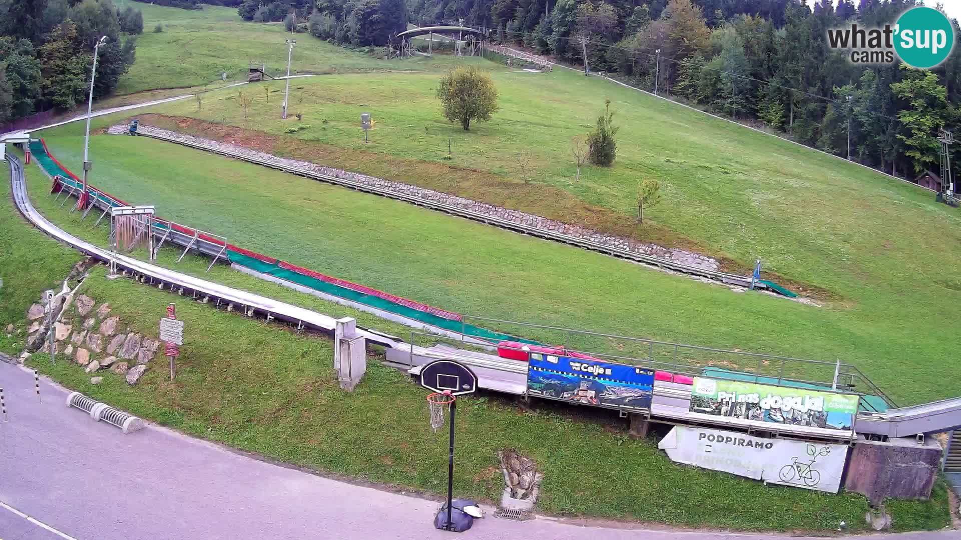 Celjska Koča – vista desde el hotel