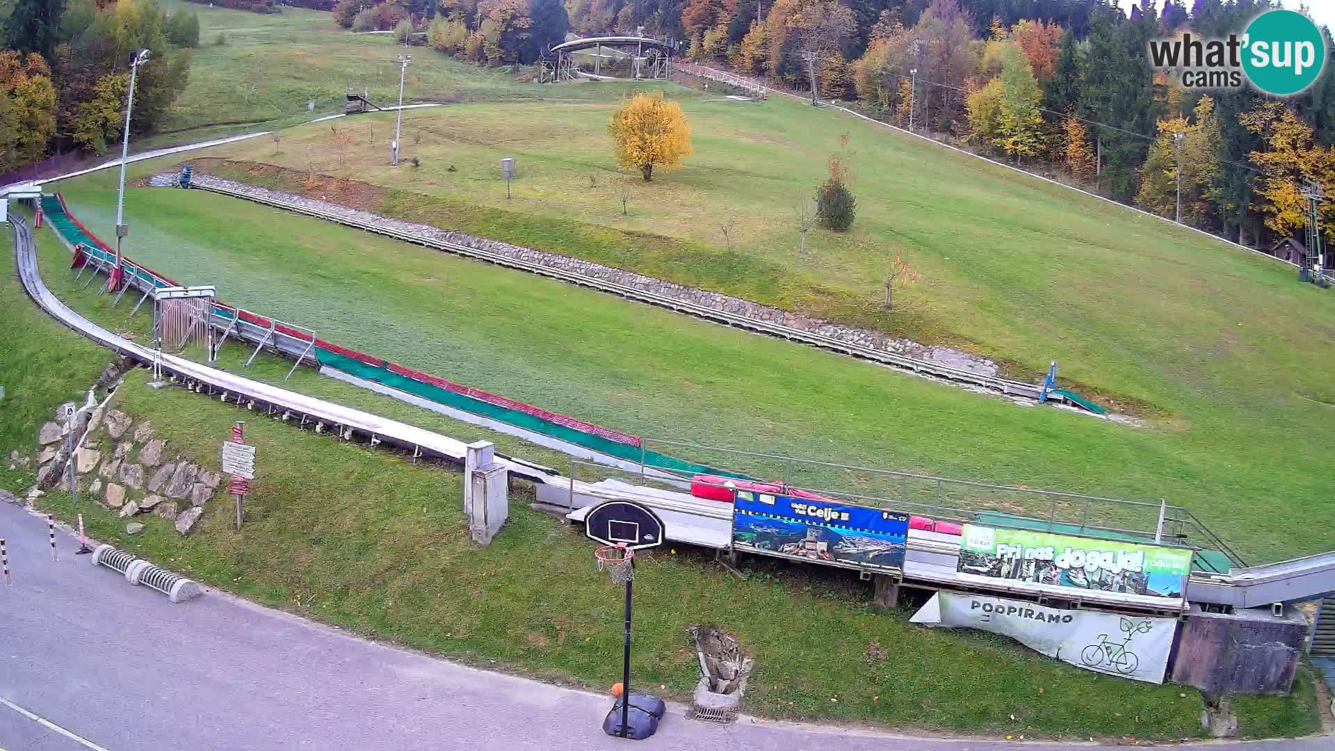 Celjska Koča – Blick vom Hotel