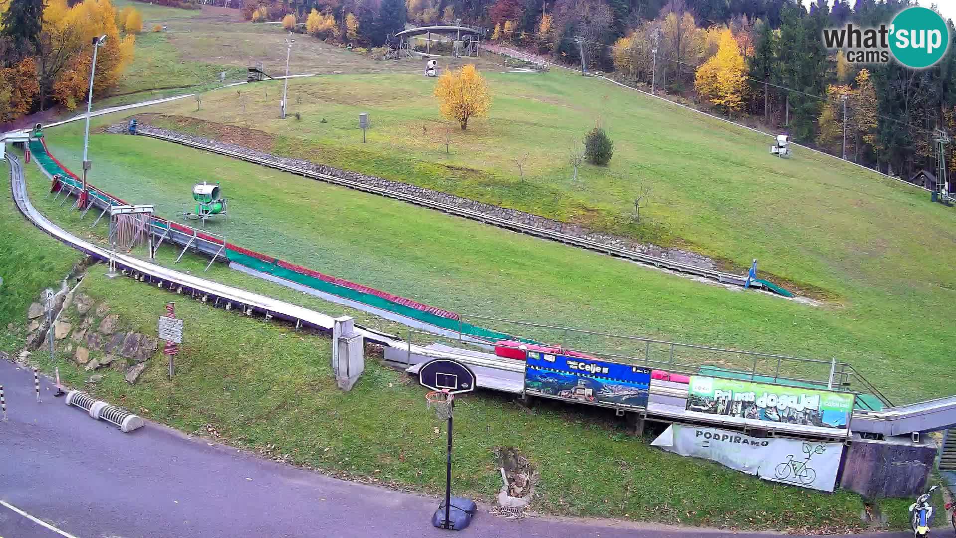 Celjska Koča – vista desde el hotel