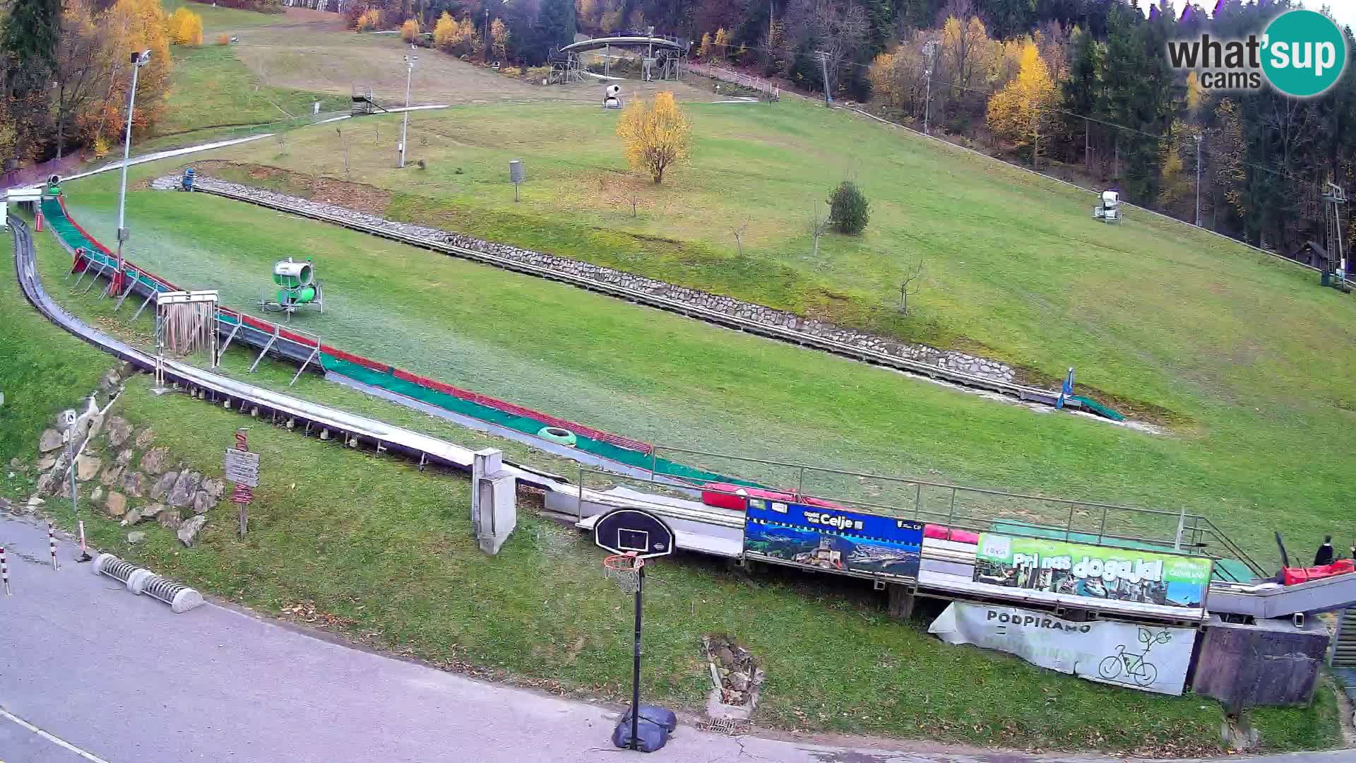Celjska Koča – vista desde el hotel