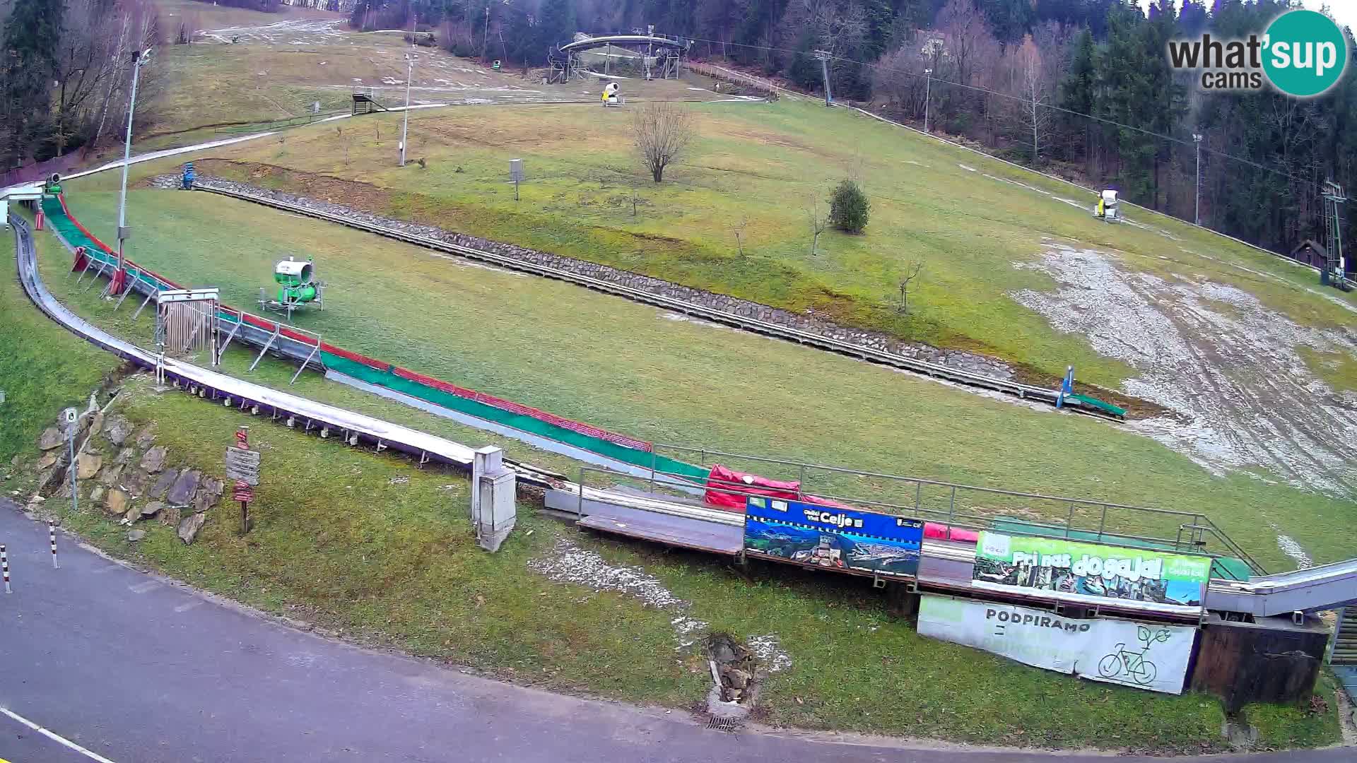 Celjska Koča – vista dall’hotel