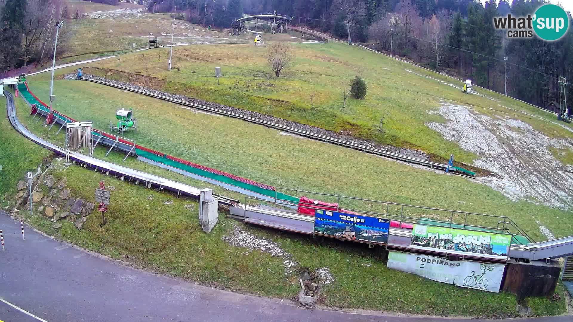 Celjska Koča – Blick vom Hotel