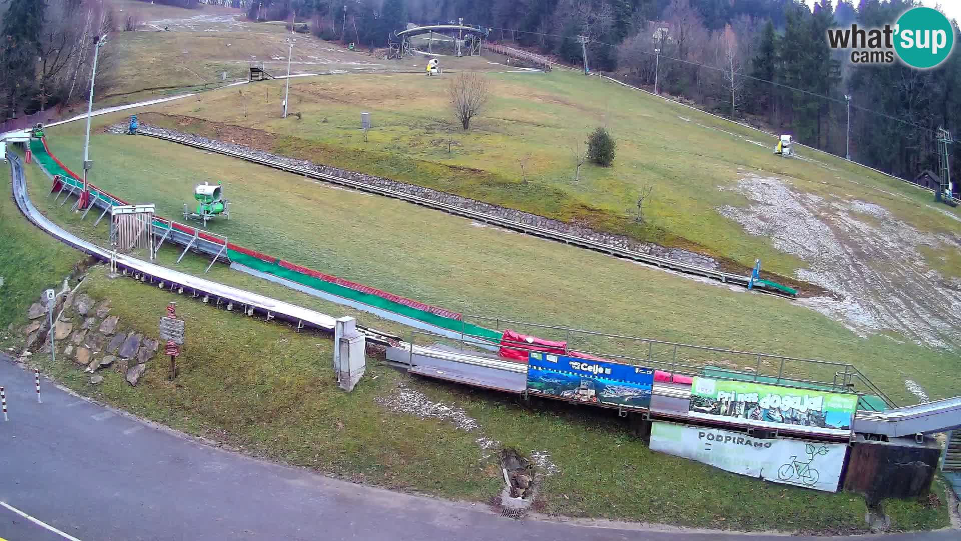 Celjska Koča – Blick vom Hotel