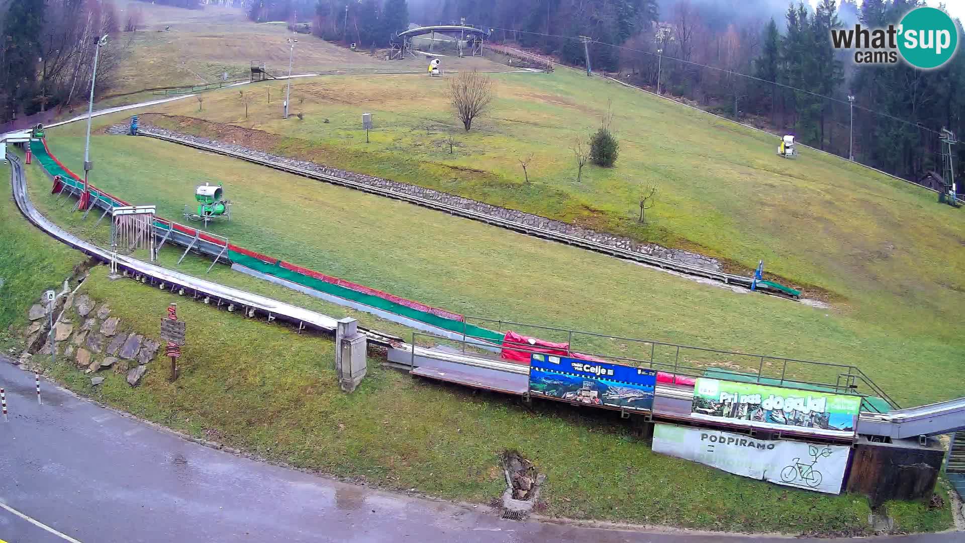 Celjska Koča – Blick vom Hotel