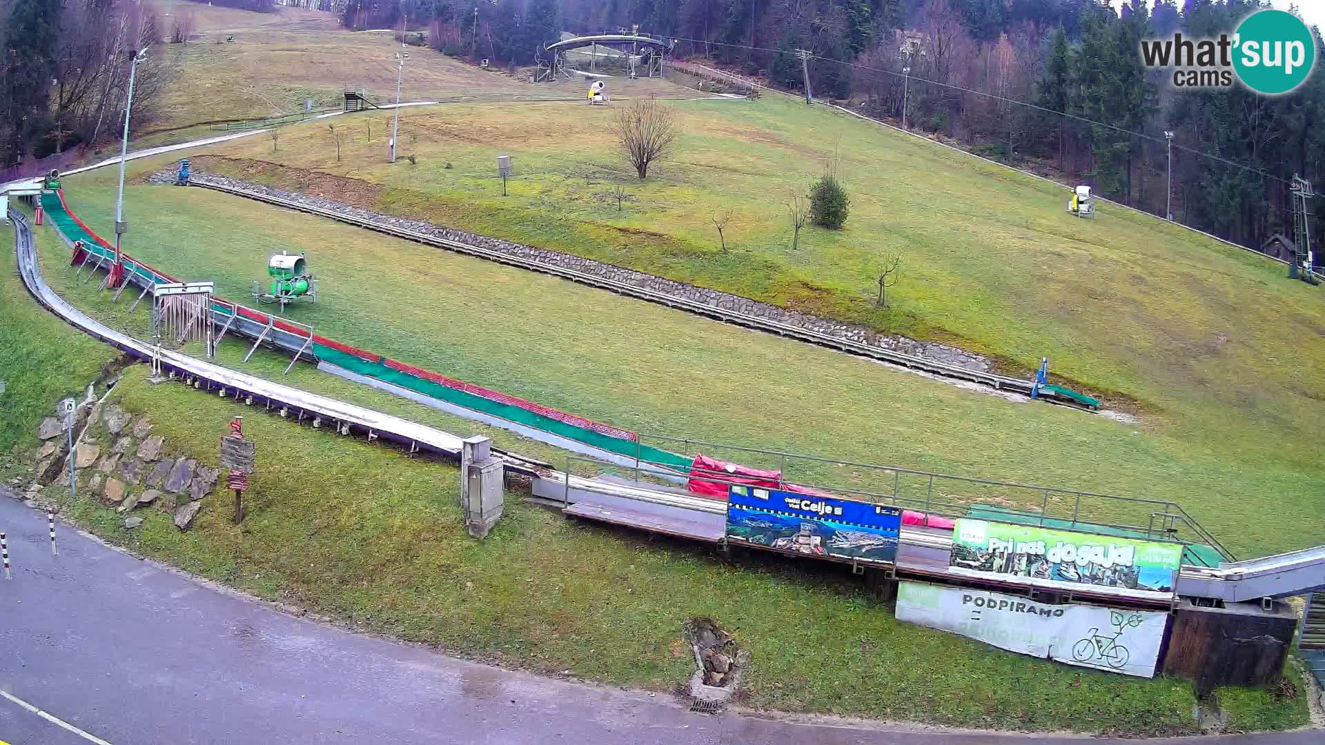 Celjska Koča – vista desde el hotel