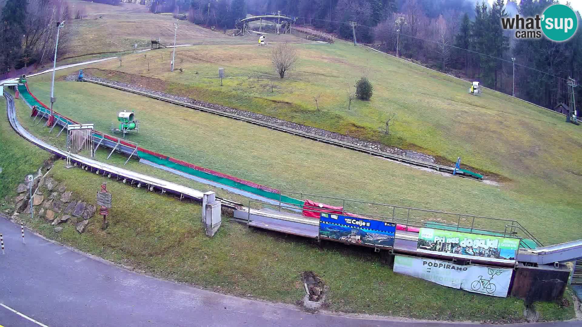 Celjska Koča – vista desde el hotel