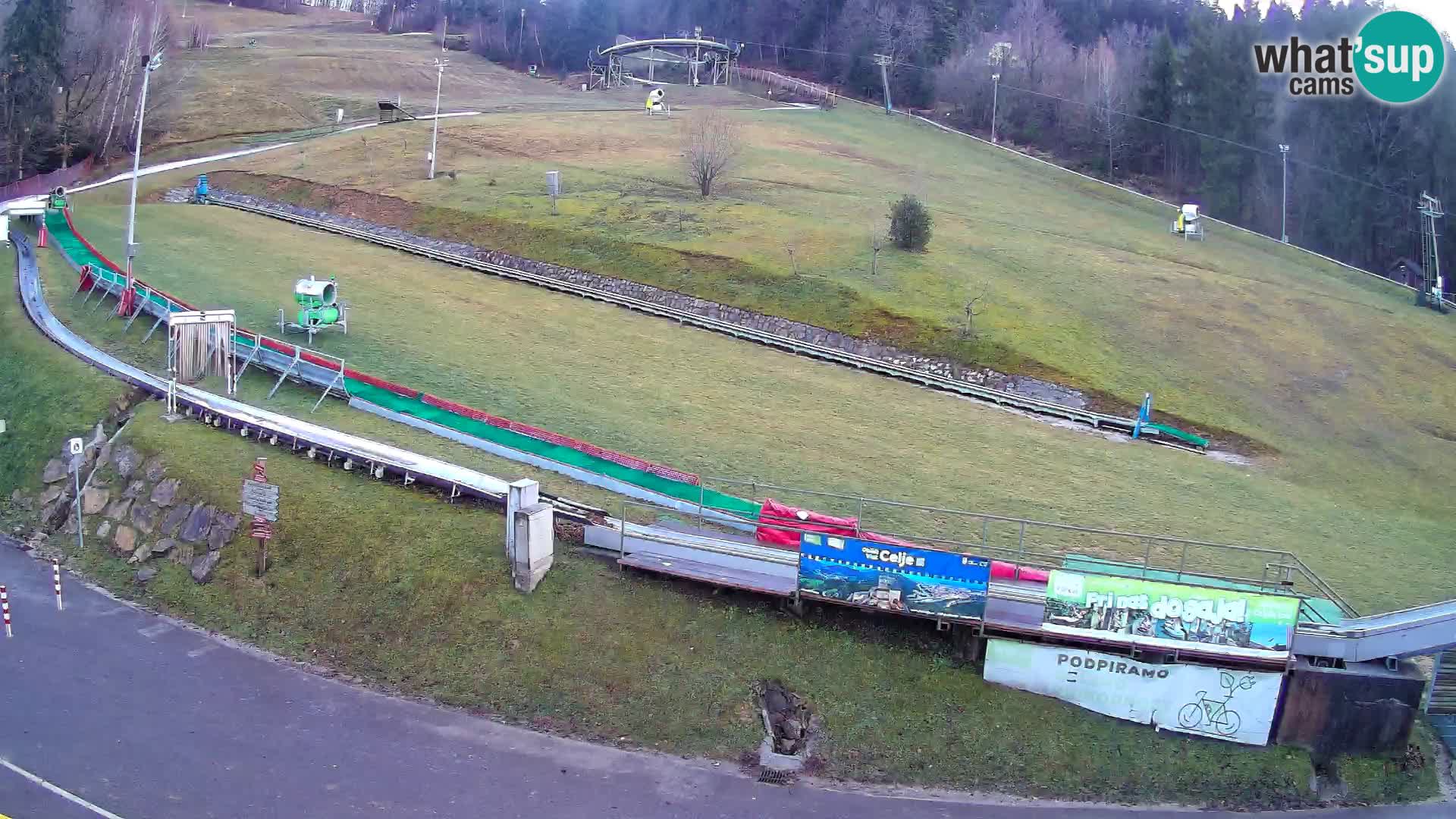 Celjska Koča – vista desde el hotel