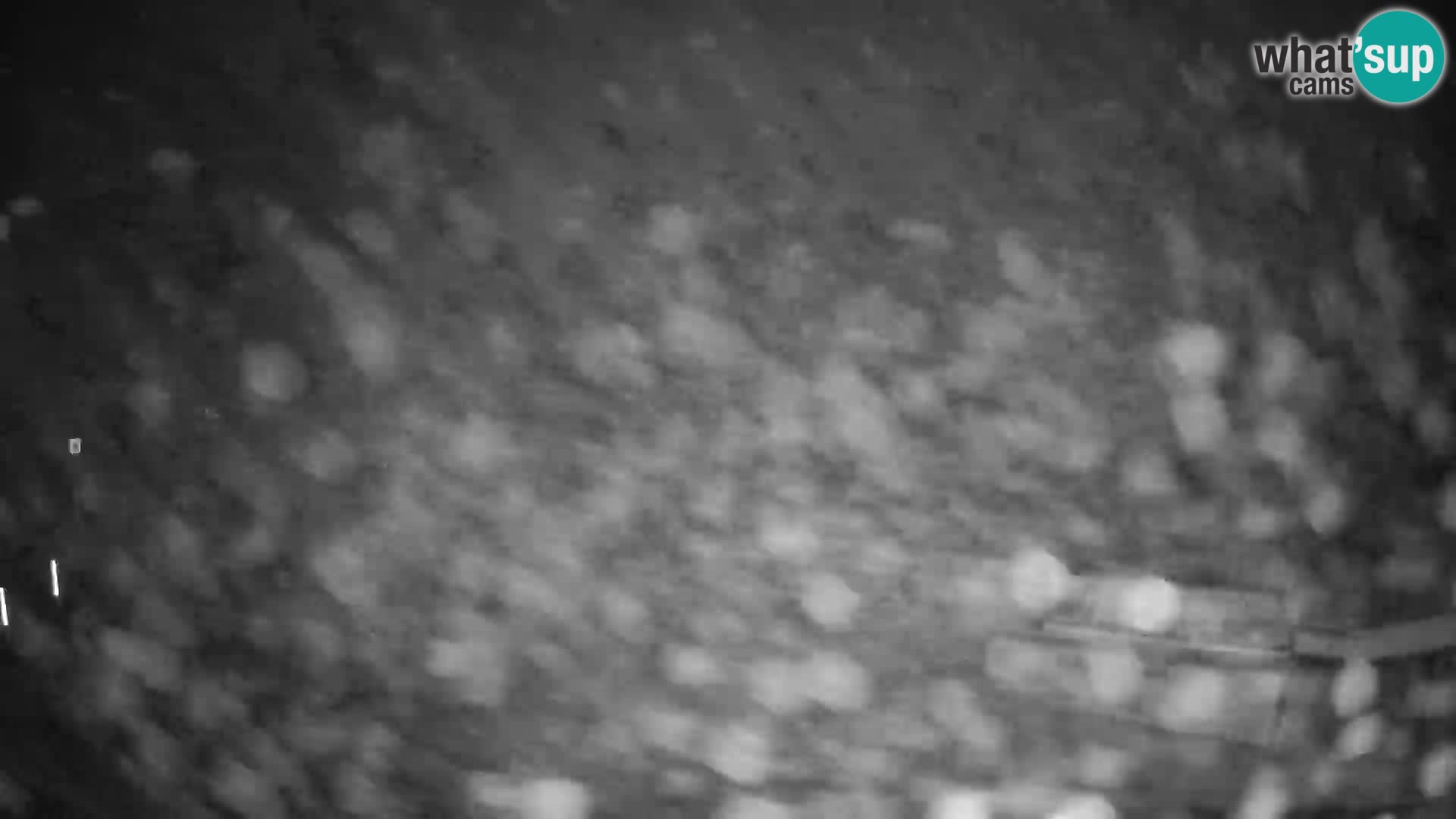 Celjska Koča – vista desde el hotel