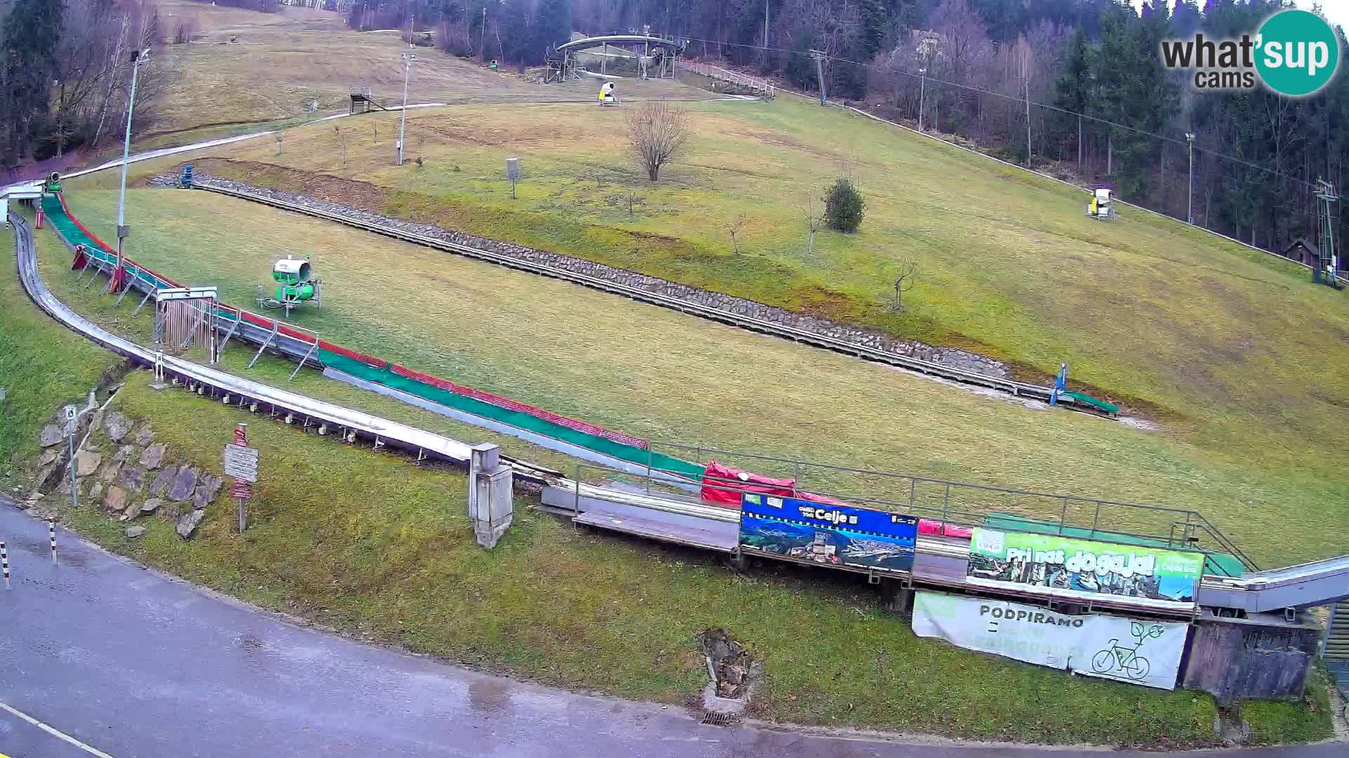 Celjska Koča – vista desde el hotel