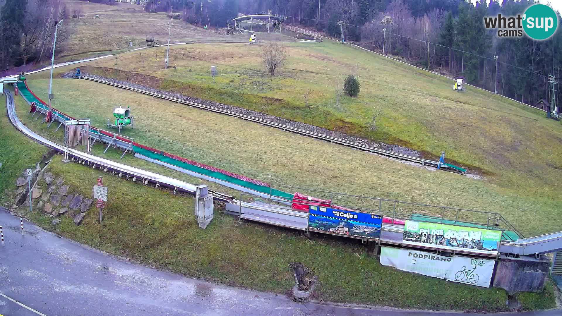 Celjska Koča – vista dall’hotel