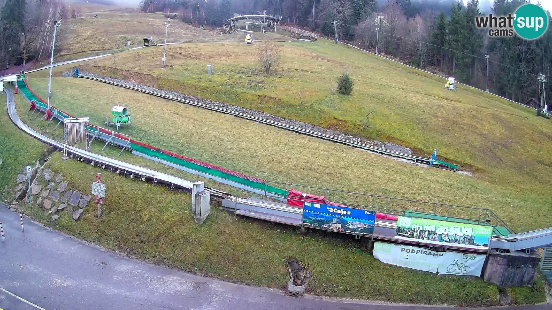 Celjska Koča – vista desde el hotel