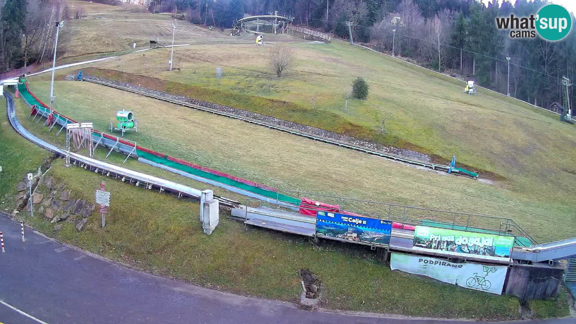 Celjska Koča – vista desde el hotel
