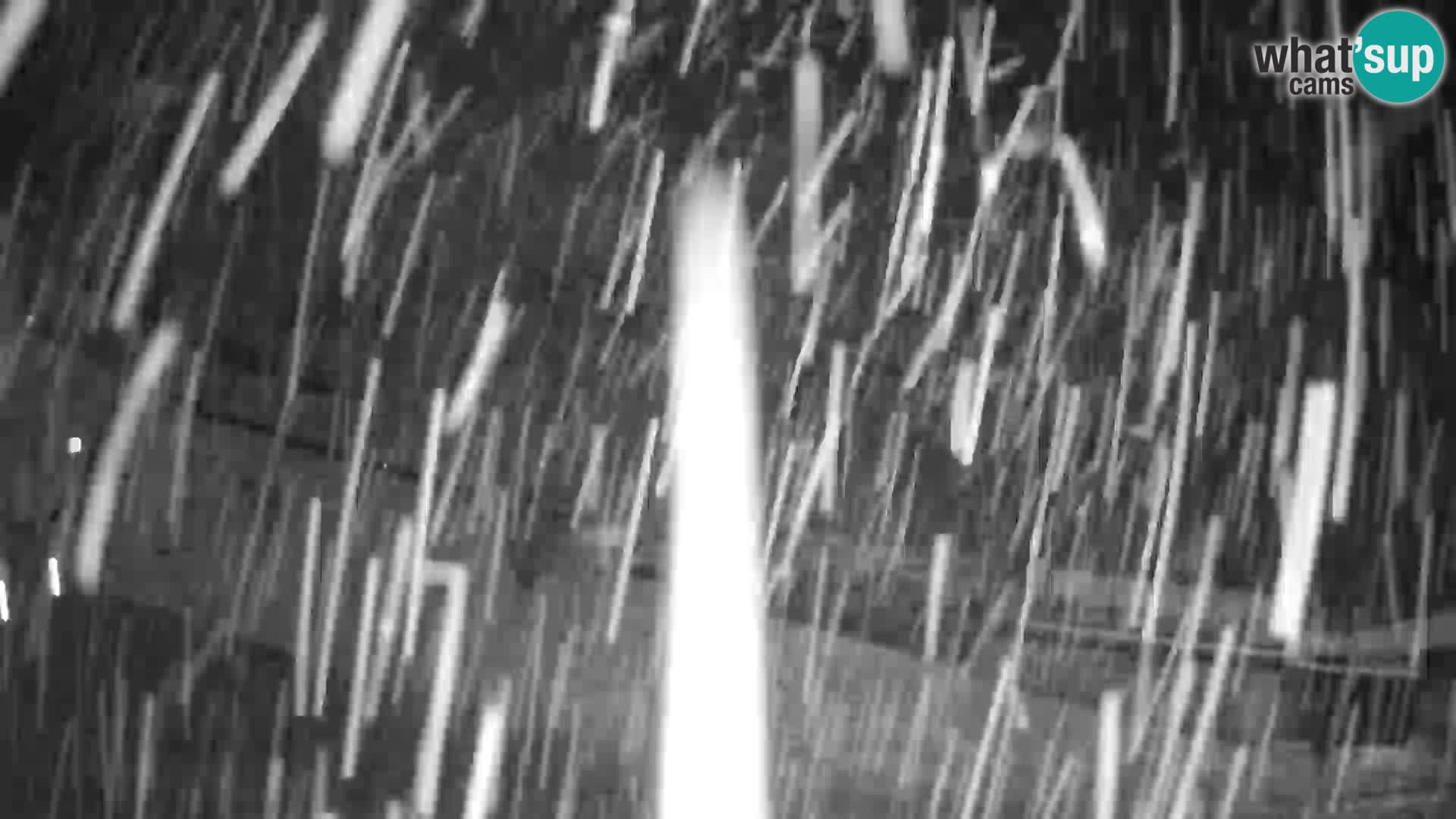 Celjska Koča – vue de l’hôtel