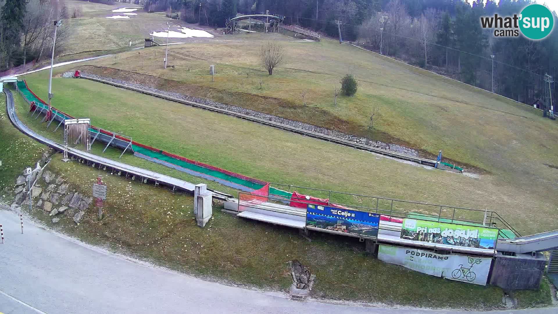 Celjska Koča – vista desde el hotel
