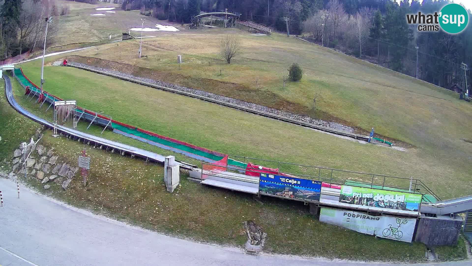 Celjska Koča – vista desde el hotel