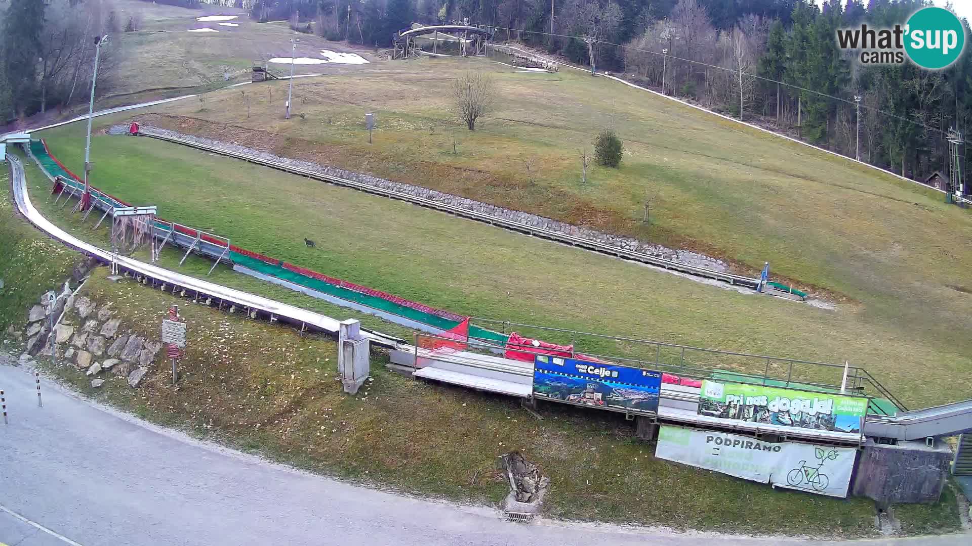 Celjska Koča – view from hotel – Celje – Slovenia