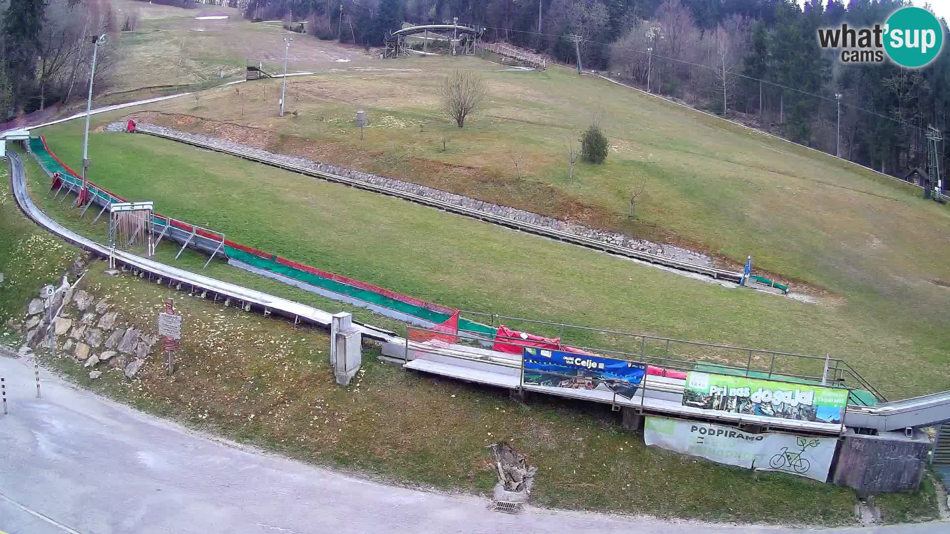 Celjska Koča – vista desde el hotel