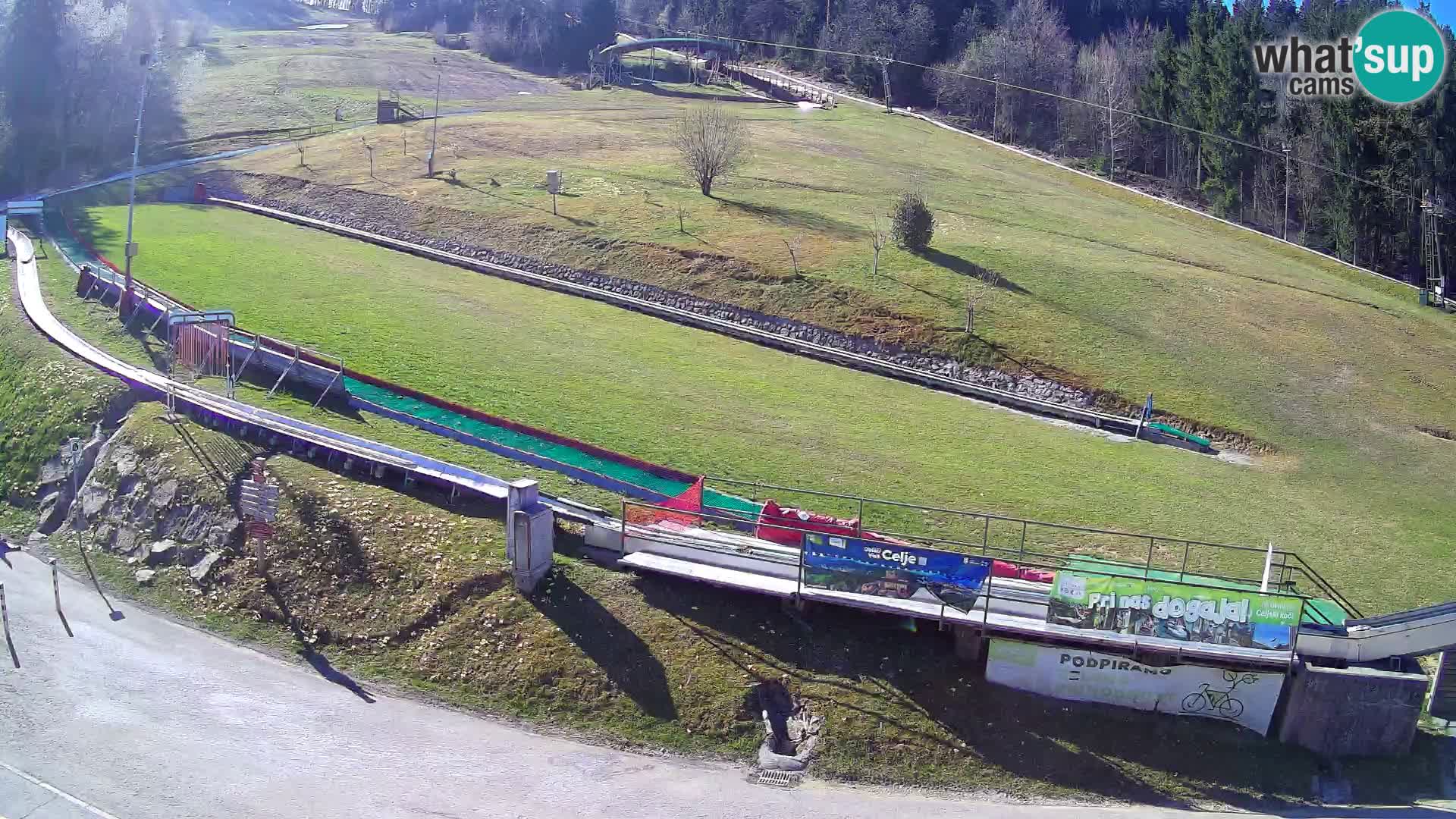 Celjska Koča – vista dall’hotel