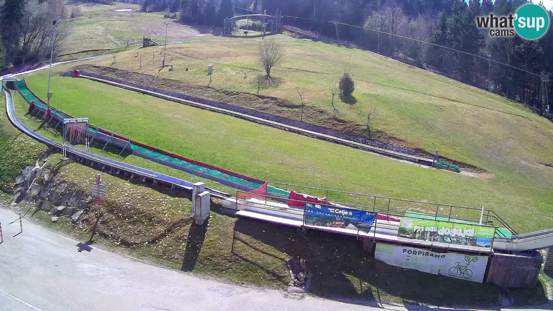 Celjska Koča – vista desde el hotel