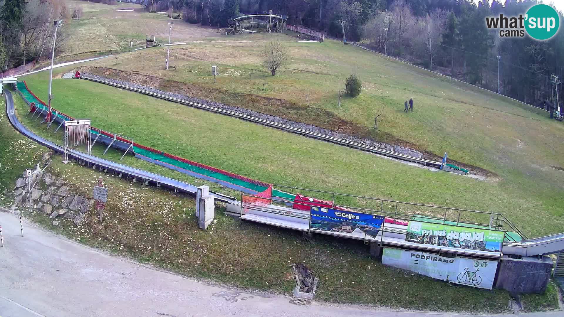 Celjska Koča – view from hotel – Celje – Slovenia
